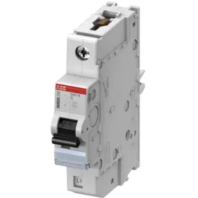 Interruttore magnetotermico ABB, 1P 2A 25 kA, Tipo C